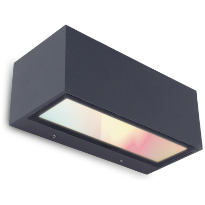 Wall Light, Gemini LED 2700K-6500K-RGB IP54, c/w Clear Glass Diffuser